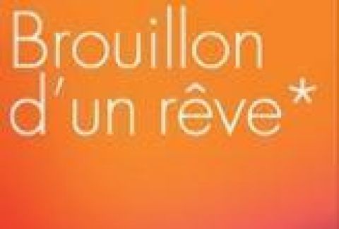 Brouillon d’un rêve documentaire