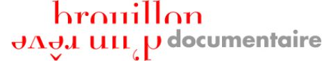 Brouillon d'un Rêve Documentaire